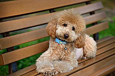 闹上太空！《糖豆人》第二赛季9月15日开启